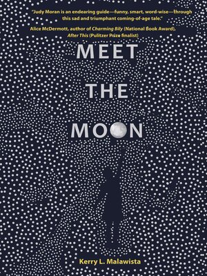 cover image of Meet the Moon